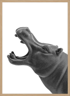 RINO (0547) - comprar online