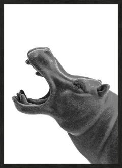 RINO (0547)