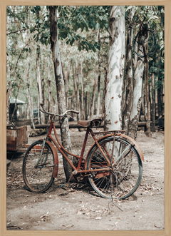 BICICLETAS (4593)