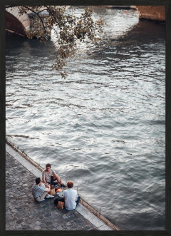VENU DAS LA SEINE (5377)
