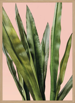 MINIMAL PLANT XIV (7332) - comprar online