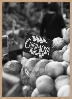 CHIRIMOLLA (9627)