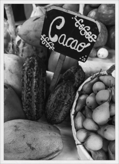 CACAO (9636) en internet
