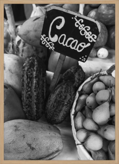 CACAO (9636)