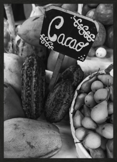 CACAO (9636) - comprar online