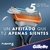 AFEITADORAS GILLETTE® FUSION5(TM) - comprar online