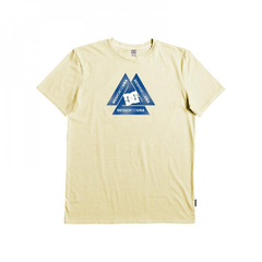 REMERA DC RADIATE en internet