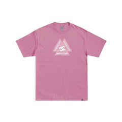 REMERA DC RADIATE
