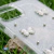 Funda Vuelo - Transparente con Mariposas 3D Plateadas en internet