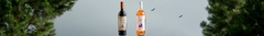 Banner de la categoría Vinos Jóvenes