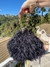 Bolsa Teddy - comprar online