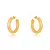 Argola Lisa Ouro - comprar online