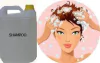 SHAMPOO x 5 Lt. - 3 CUOTAS SIN INTERES - DESCUENTOS POR PAGO EFECTIVO, DEBITO Y CREDITO EN UN PAGO