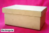 CAJA RECTANGULAR TAPA ZAPATO 10x14x8 cm ALT. - 3 CUOTAS SIN INTERES - DESCUENTOS POR PAGO EFECTIVO, DEBITO Y CREDITO EN UN PAGO