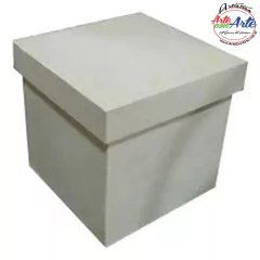 CAJA CUBO TAPA ZAPATO 24x24x24cm FF.