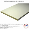CARTULINA AMERICANA 320G 70X100CM - comprar online