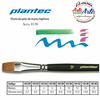 PINCEL PLANTEC PELO MARTA LEGITIMO CHATO SERIE 8120 No 2 - 3 CUOTAS SIN INTERES - DESCUENTOS POR PAGO EFECTIVO, DEBITO Y CREDITO EN UN PAGO