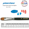 PINCEL PLANTEC SERIE 8300 No 6 MARTA L.GATO