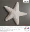 YESO SM Estrella de mar - 16 cm - comprar online