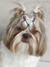 Anel Para Penteado 50 UN - comprar online