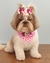 Bandana Barbie pct 10 UN - comprar online