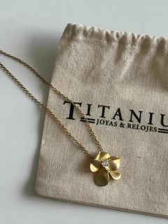 Conjunto Plata Gold