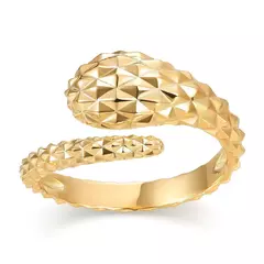 Anillo snake