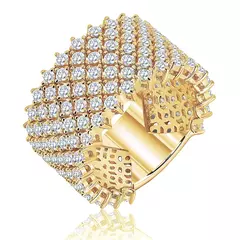 Anillo Reini