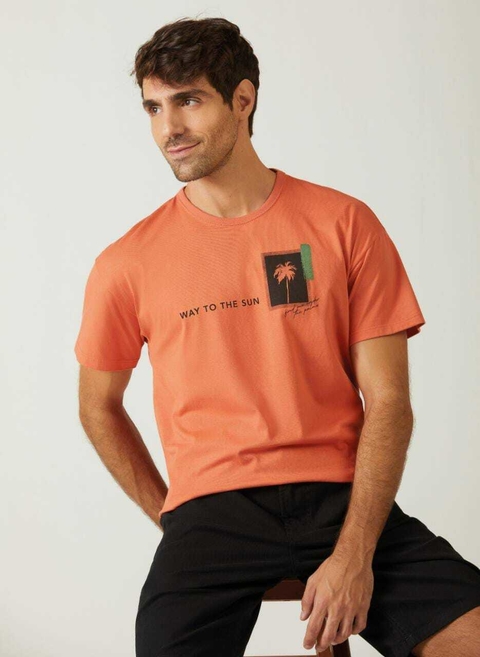 Camiseta Masculina Malwee Tradicional 99162 Telha M