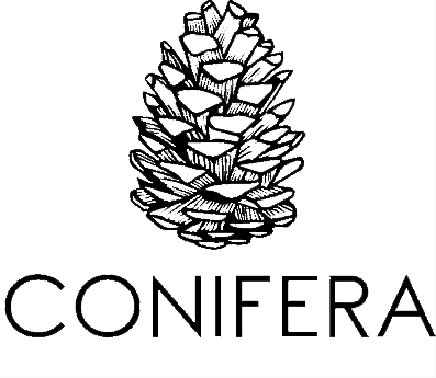 conifera