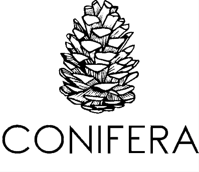 conifera