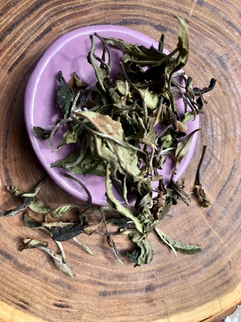 Té Blanco Misionero (Baimudan y MudanWang)