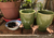 Pack Compartir - tienda online