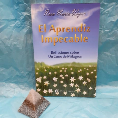 El Aprendiz Impecable