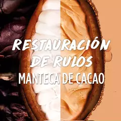 Fructis Hair Food Cacao Shampoo x300g - comprar online