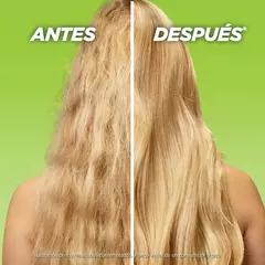 Fructis GoodBye Daño Shampoo X350ml en internet