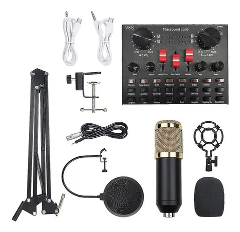 Micrófono de Condenser Profesional Con Placa De Audio - TAME MIC-31008