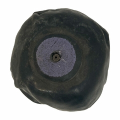 UNID. CAMARA PELOTA PAPI (0500059) en internet