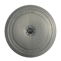 UNID.DISCO PVC 10 KGS. GRIS (12D40517) en internet