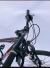 Bicicleta Fire Bird r.29 21 velocidades Freno a Disco en internet