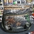 MORRAL MEDIANO COBRA CAMUFLADO SELVA - comprar online