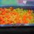 PERLAS PLASTICAS HARBOR - comprar online