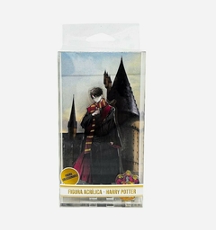 Figura Acrilico Harry Potter Oficial en internet