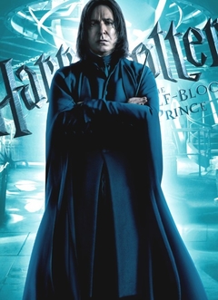 POSTER Harry Potter en internet