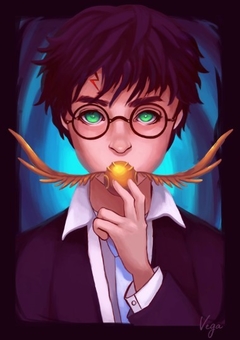 POSTER Harry Potter - comprar online