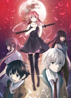 POSTERS Mirai Nikki en internet