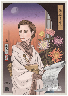 POSTER 47x33cm Star Wars Celebration 25'