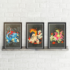 3 Posters | Pokemon Art Gen2 3rd Stages