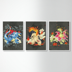 3 Posters | Pokemon Art Gen2 3rd Stages - comprar online