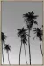 Quadro Decorativo De Canvas Palm Beach B 60 X 90 X 3,5 cm - Visage - loja online